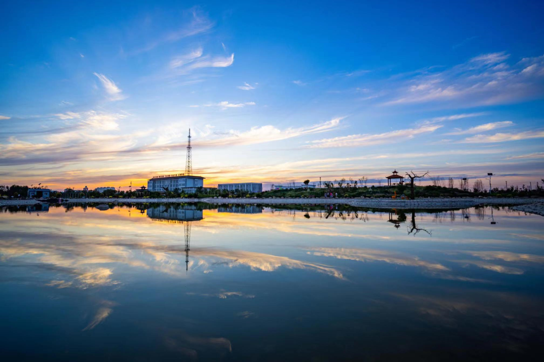 202303151311301699.png 202303151311301699.png