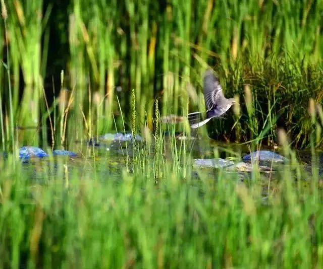 202303151311309809.jpg 202303151311309809.jpg