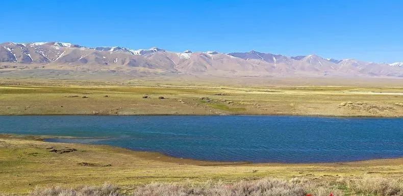 202303151312564871.jpg 202303151312564871.jpg