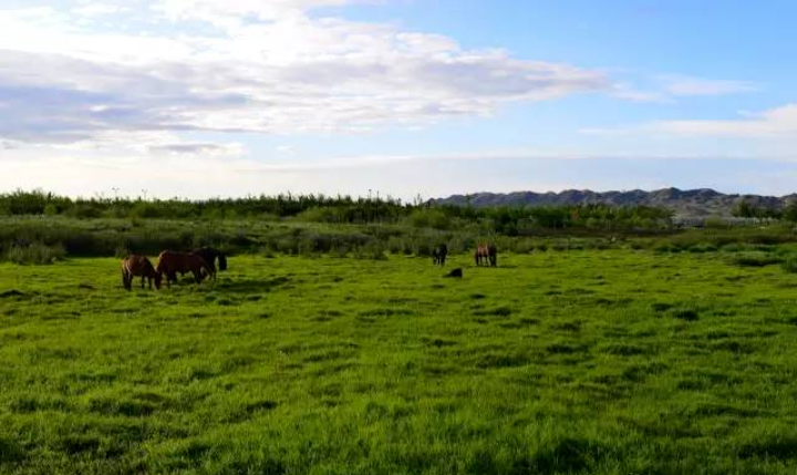 202303151312566339.png 202303151312566339.png