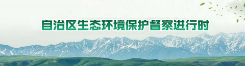 自治區(qū)生態(tài)環(huán)境保護督察進行時